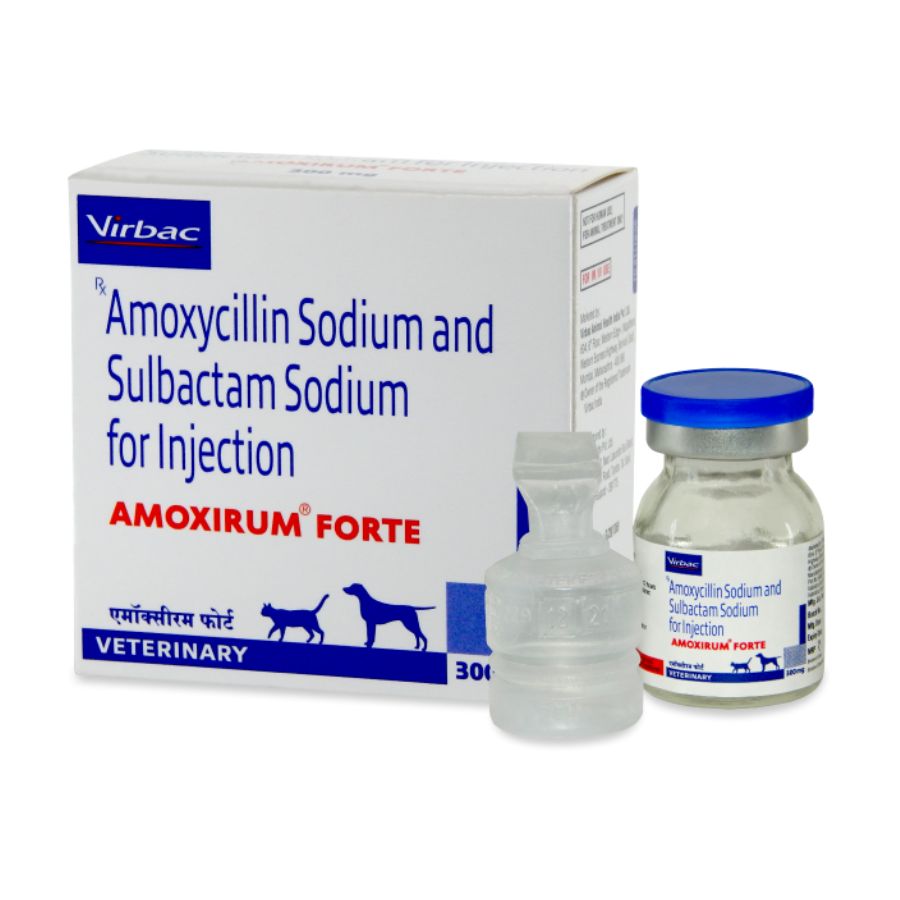 Amoxirum Forte Injection