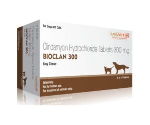 Bioclan 300 mg