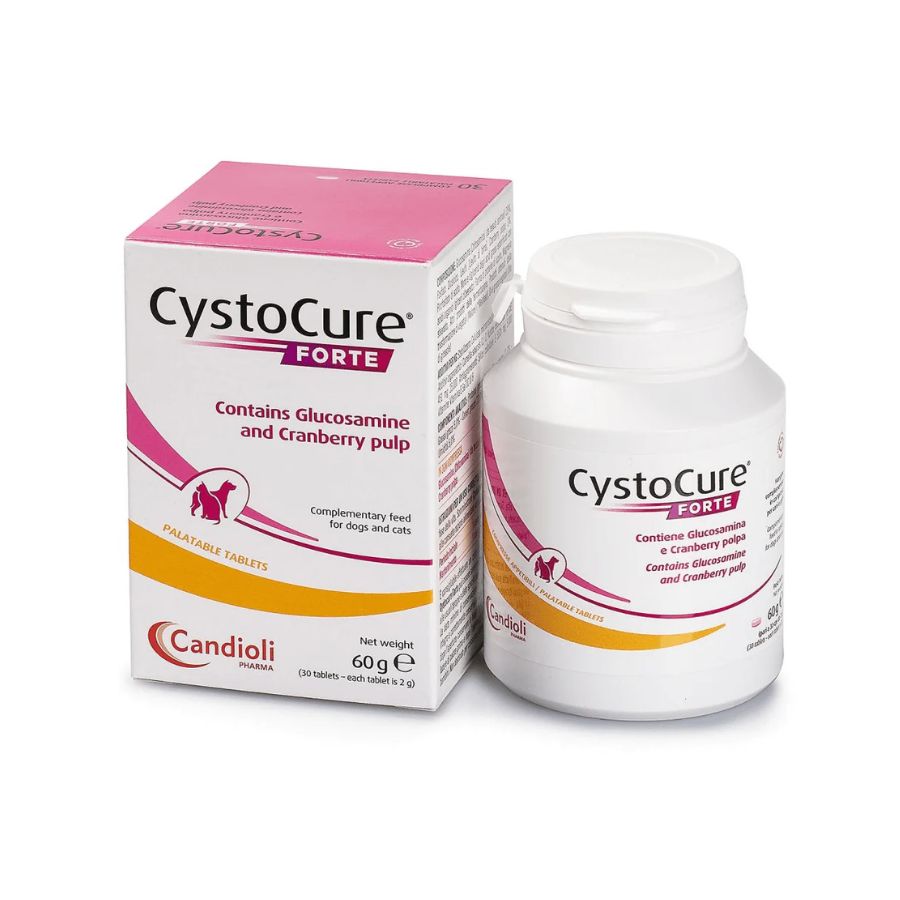 cystocure forte