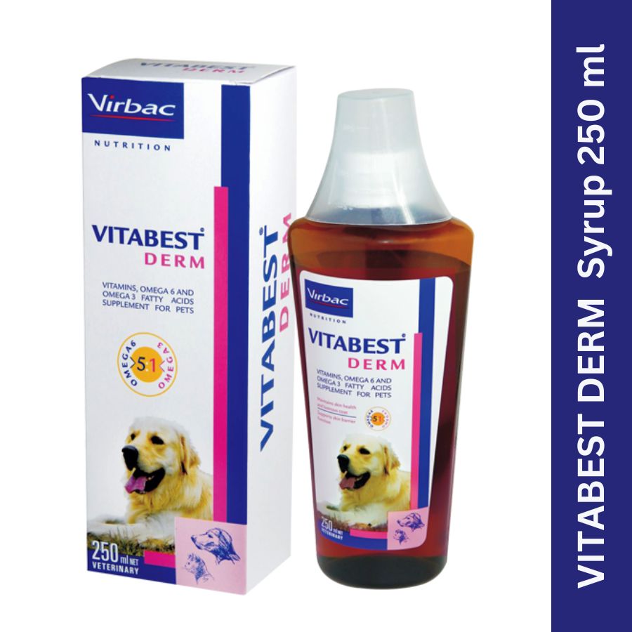 Vitabest Derm Syrup