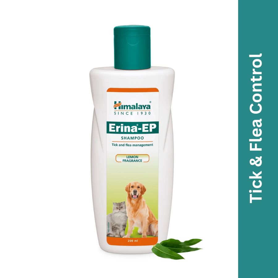 Erina EP Shampoo