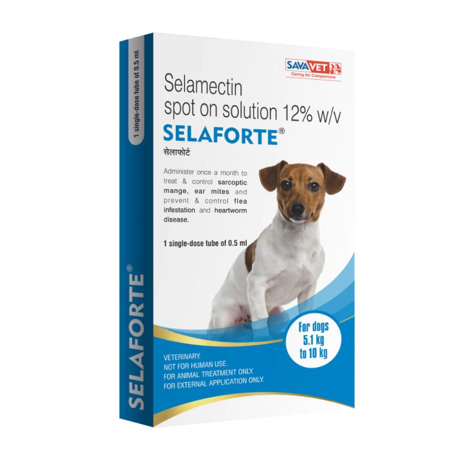 selaforte spot on for dogs