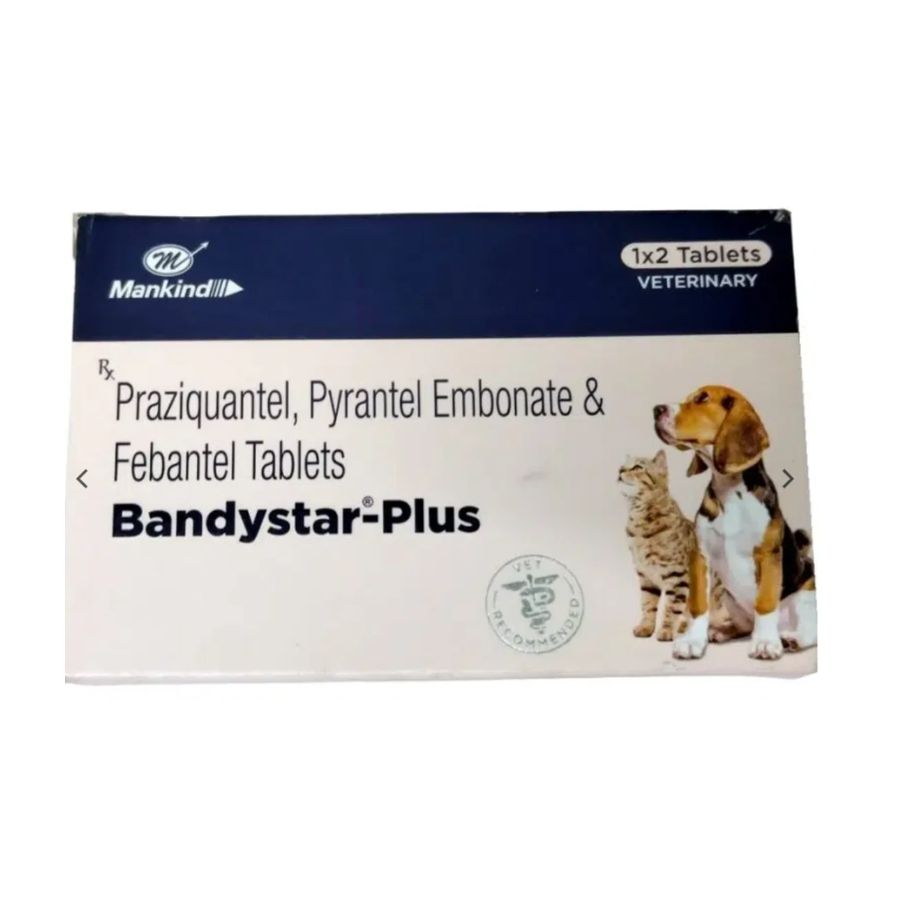 Bandystar plus