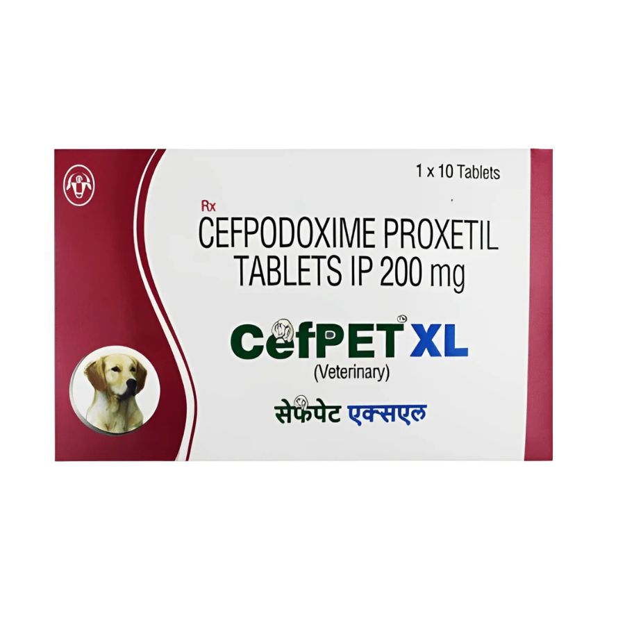 Cefpet XL