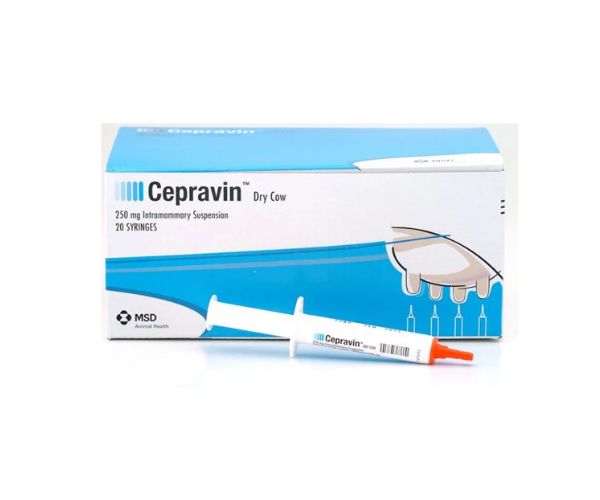 Cepravin dry cow